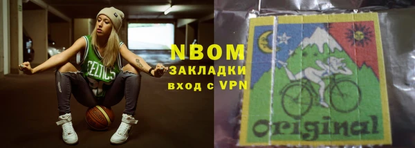 стаф Новозыбков