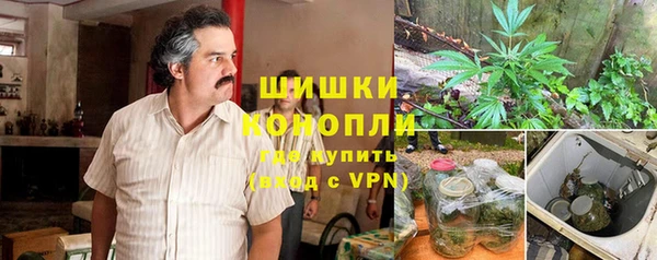 стаф Новозыбков