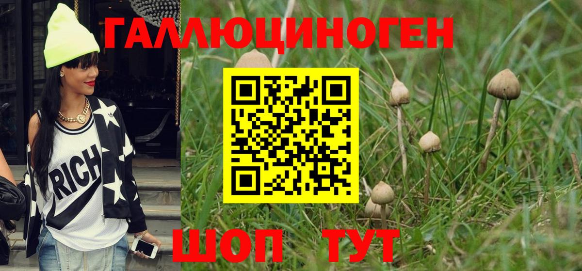 Псилоцибиновые грибы Cubensis  закладки  Псилоцибиновые грибы Psilocybine cubensis  Копейск 