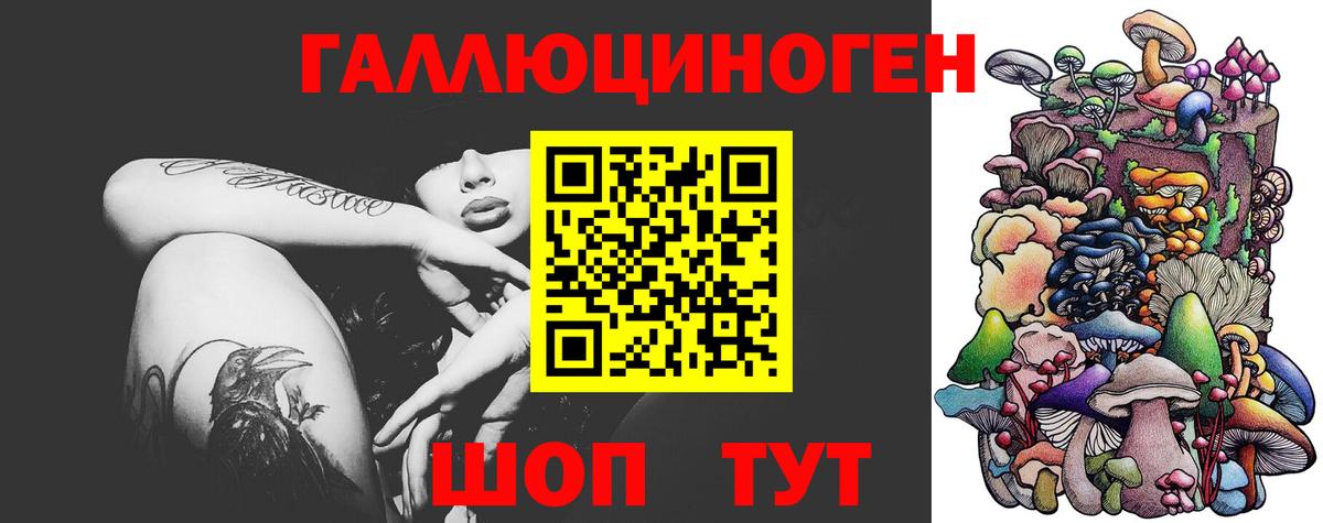 Копейск  Галлюциногенные грибы GOLDEN TEACHER  Псилоцибиновые грибы Psilocybe  Вход с VPN 